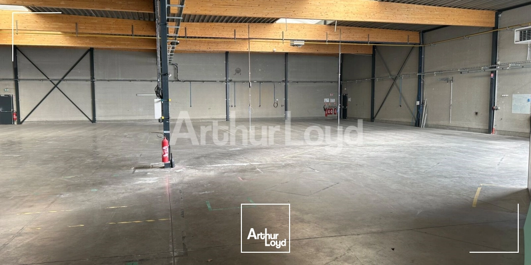 Locaux d'activité & Entrepôts - Location - BONDUES - 59910 - 1180-1180 - 7873501