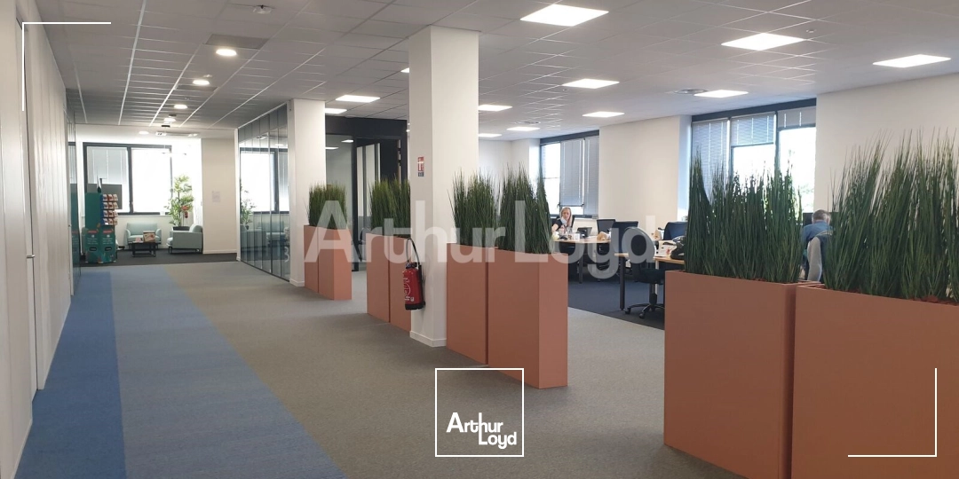 Bureaux - Location - CROIX - 59170 - 2654-2654 - 7873884