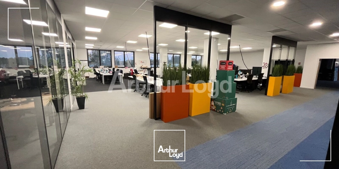 Bureaux - Location - CROIX - 59170 - 2654-2654 - 7873888