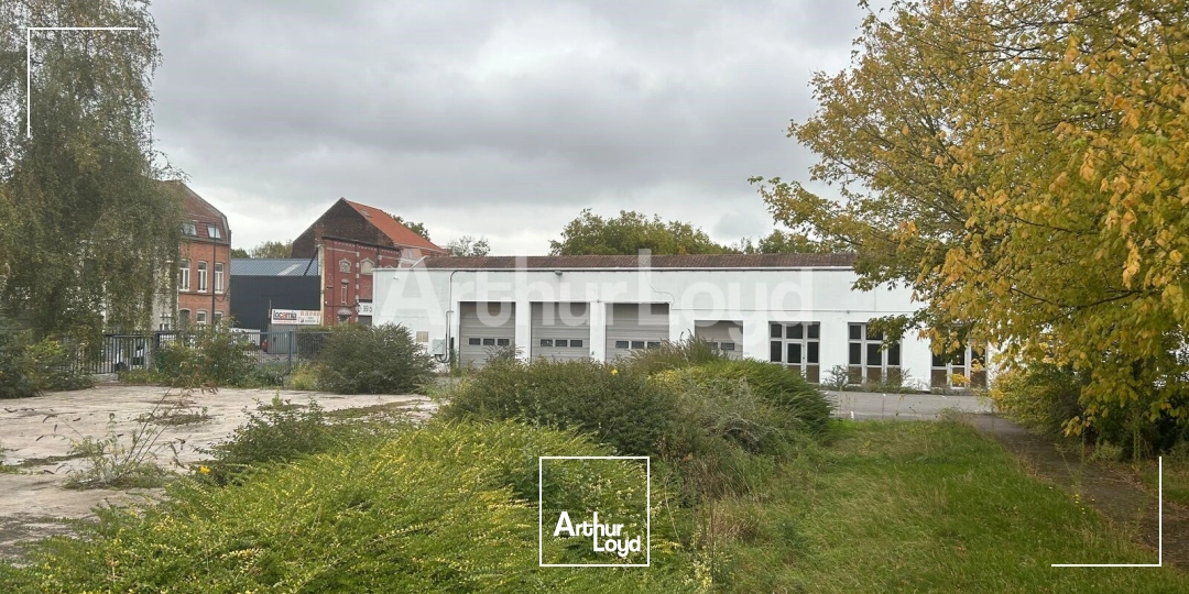 Bureaux - Location - ROUBAIX - 59100 - 4907.8-4907.8 - 7873970