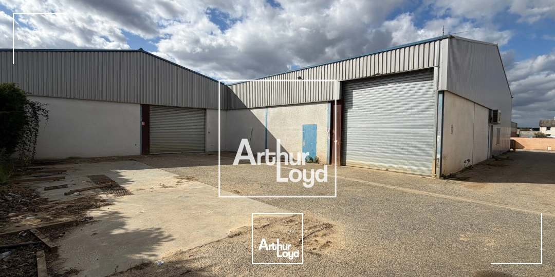 Locaux d'activité & Entrepôts - Vente - COLOMIERS - 31770 - 1018-1018 - 7874663