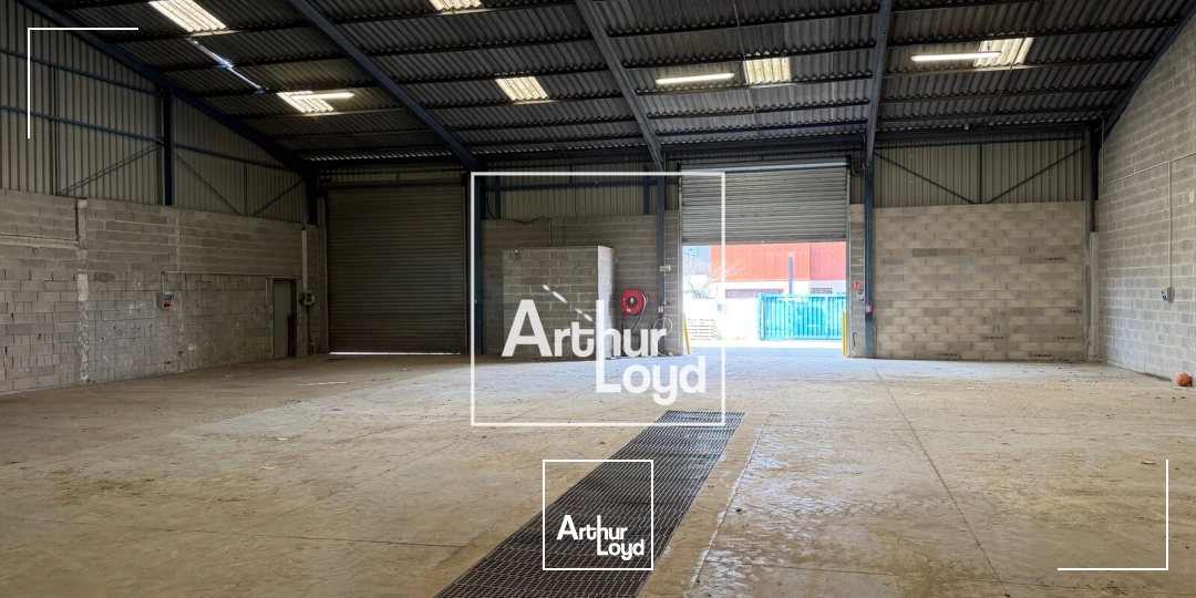 Locaux d'activité & Entrepôts - Vente - COLOMIERS - 31770 - 1018-1018 - 7874665