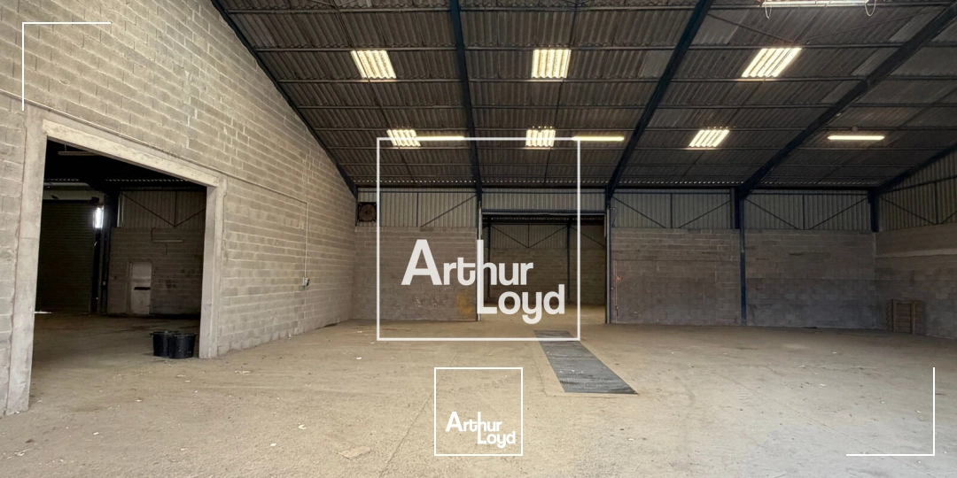 Locaux d'activité & Entrepôts - Vente - COLOMIERS - 31770 - 1018-1018 - 7874668