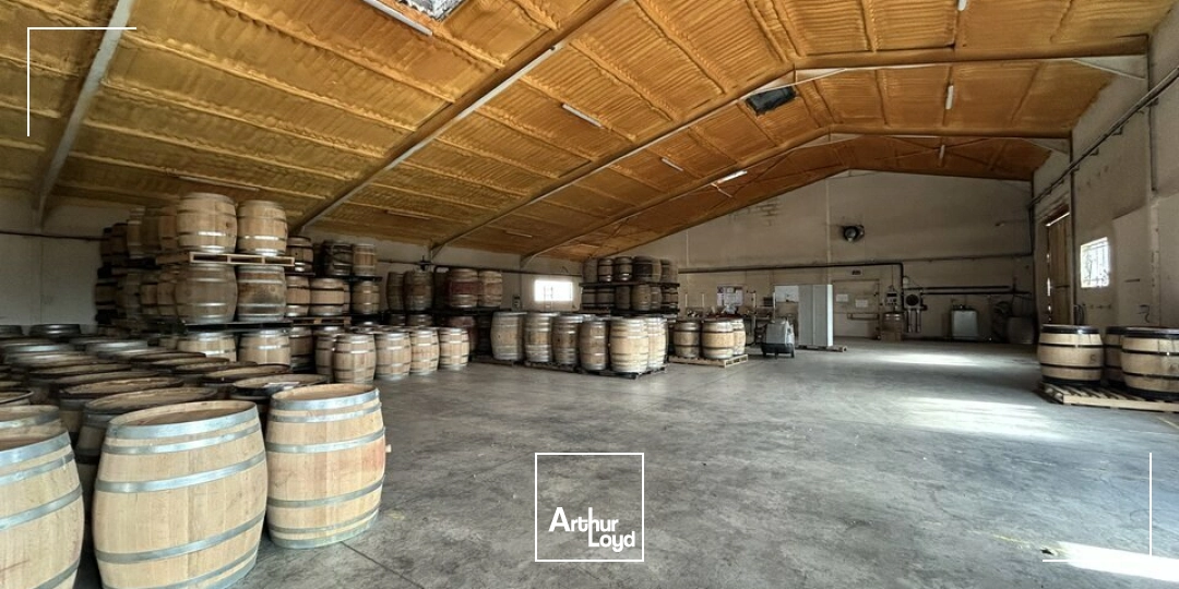 Locaux d'activité & Entrepôts - Location - CRISSEY - 71530 - 660-660 - 7877417