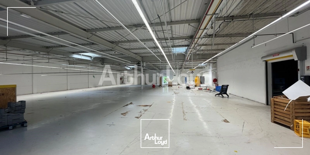 Locaux commerciaux - Location - FOUQUIERES LES BETHUNE - 62232 - 1600-1600 - 7878024