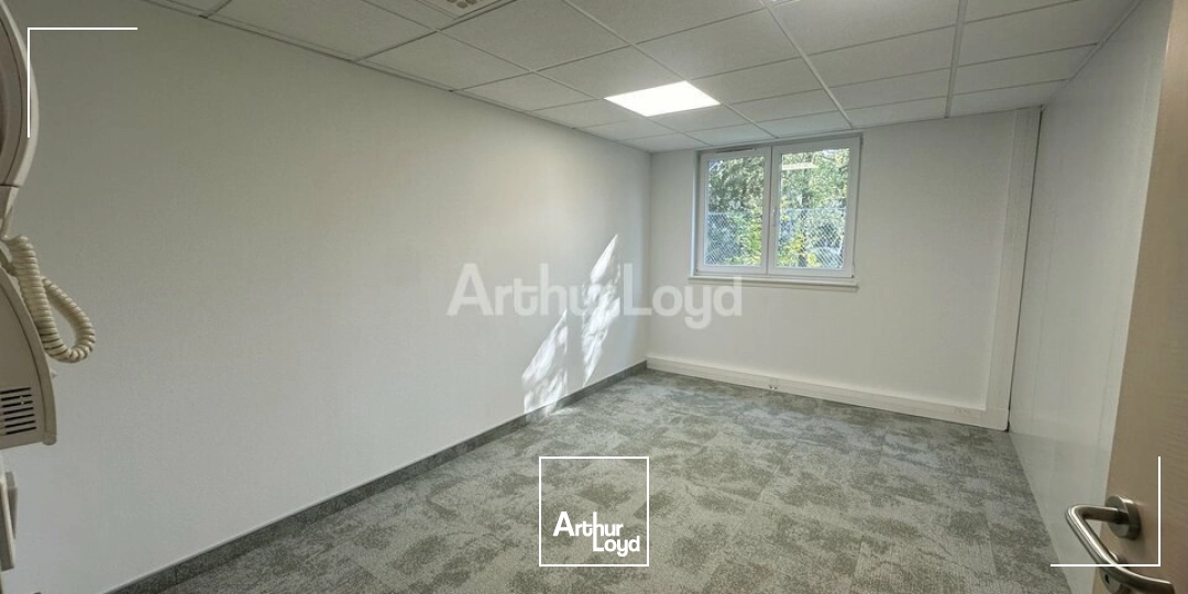 Bureaux - Location - ECKBOLSHEIM - 67201 - 24-199 - 7878276