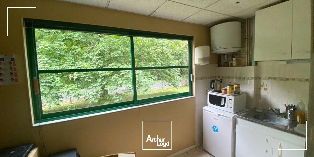 Locaux d'activité & Entrepôts - Vente - FLEURIEU SUR SAONE - 69250 - 730-730 - 7896438