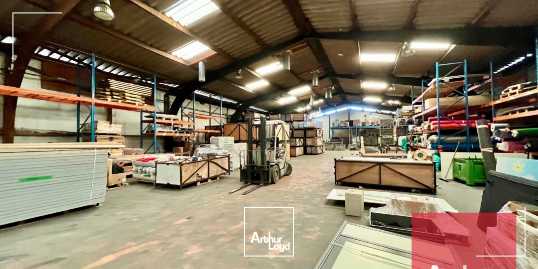 Locaux d'activité & Entrepôts - Location - VENDARGUES - 34740 - 650-1620 - 7906065