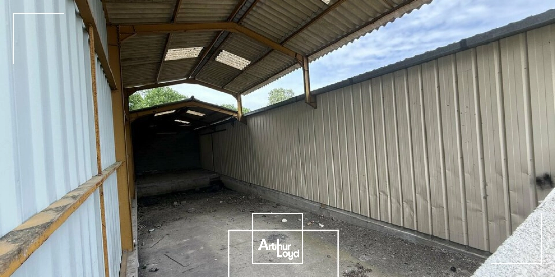 Locaux d'activité & Entrepôts - Vente - TERRASSON-LAVILLEDIEU - 24120 - 3800-3800 - 7909940