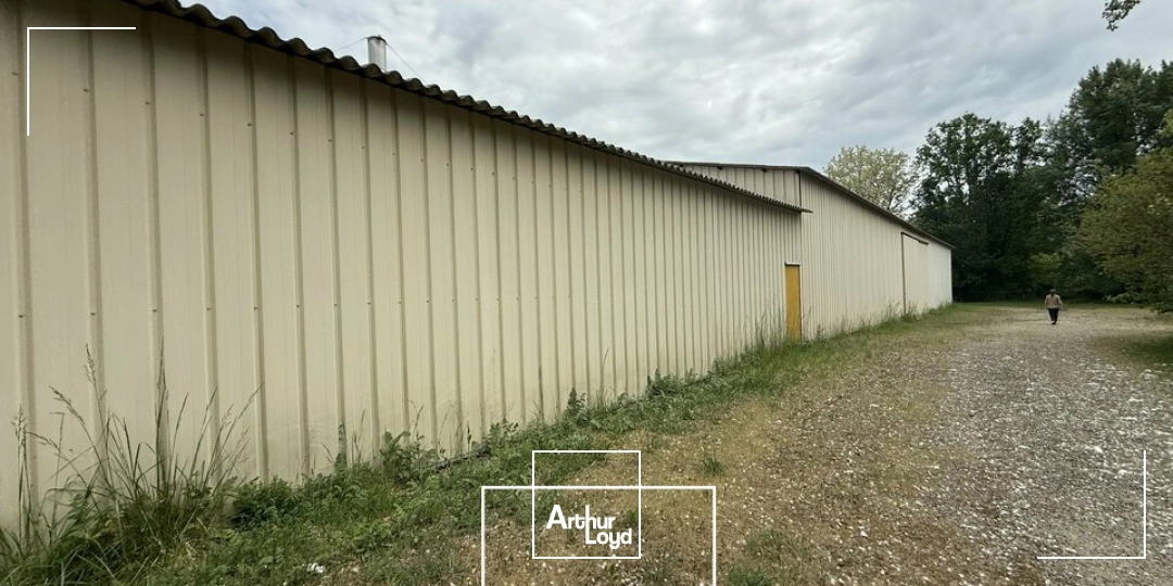 Locaux d'activité & Entrepôts - Vente - TERRASSON-LAVILLEDIEU - 24120 - 3800-3800 - 7909939