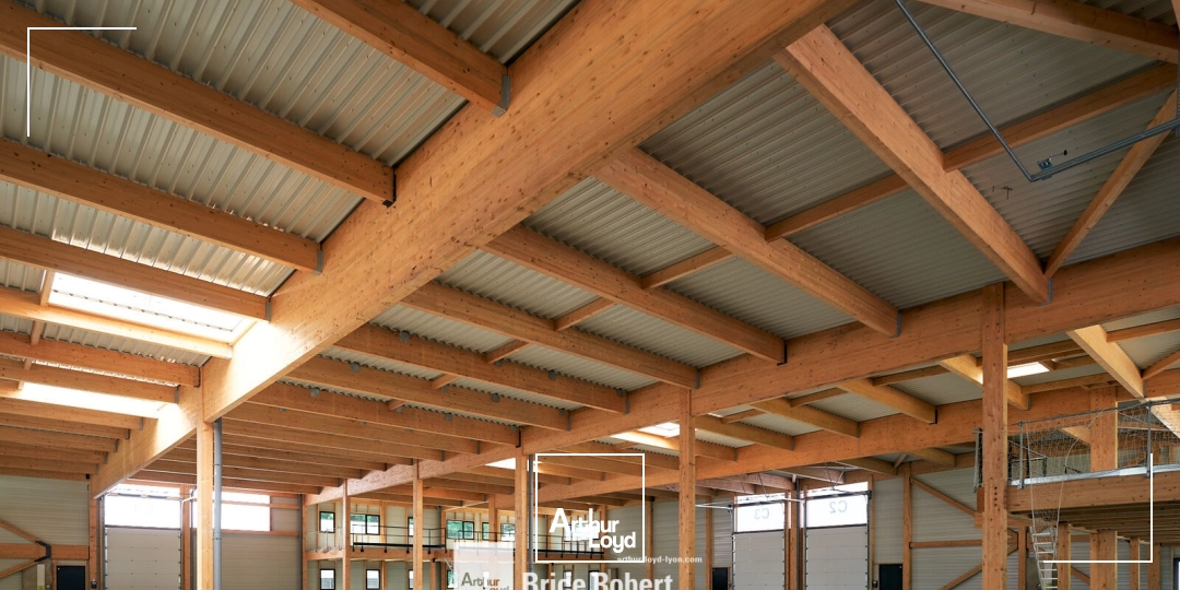 Locaux d'activité & Entrepôts - Location - TARARE - 69170 - 169-2905 - 7910565