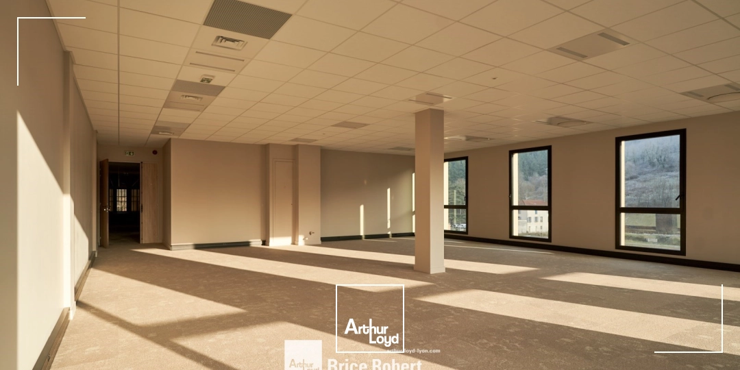 Locaux d'activité & Entrepôts - Location - TARARE - 69170 - 169-2905 - 7910558