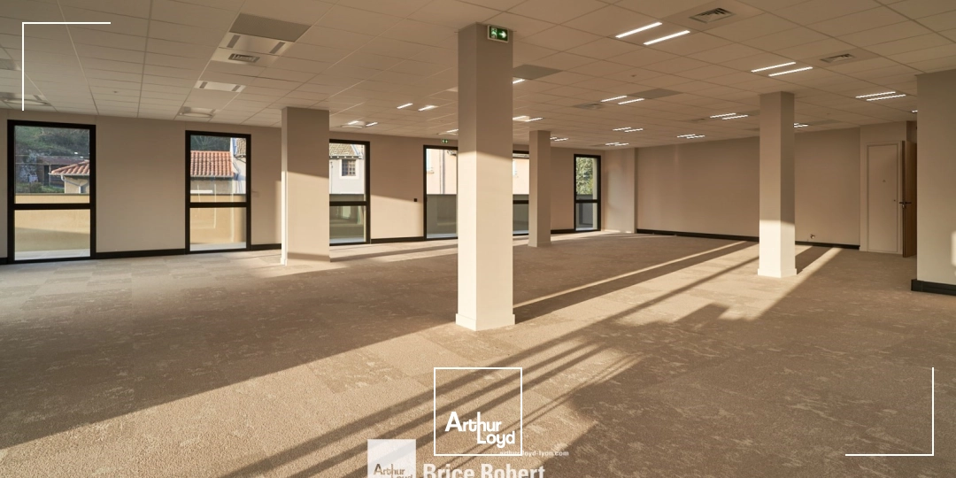 Locaux d'activité & Entrepôts - Location - TARARE - 69170 - 169-2905 - 7910562