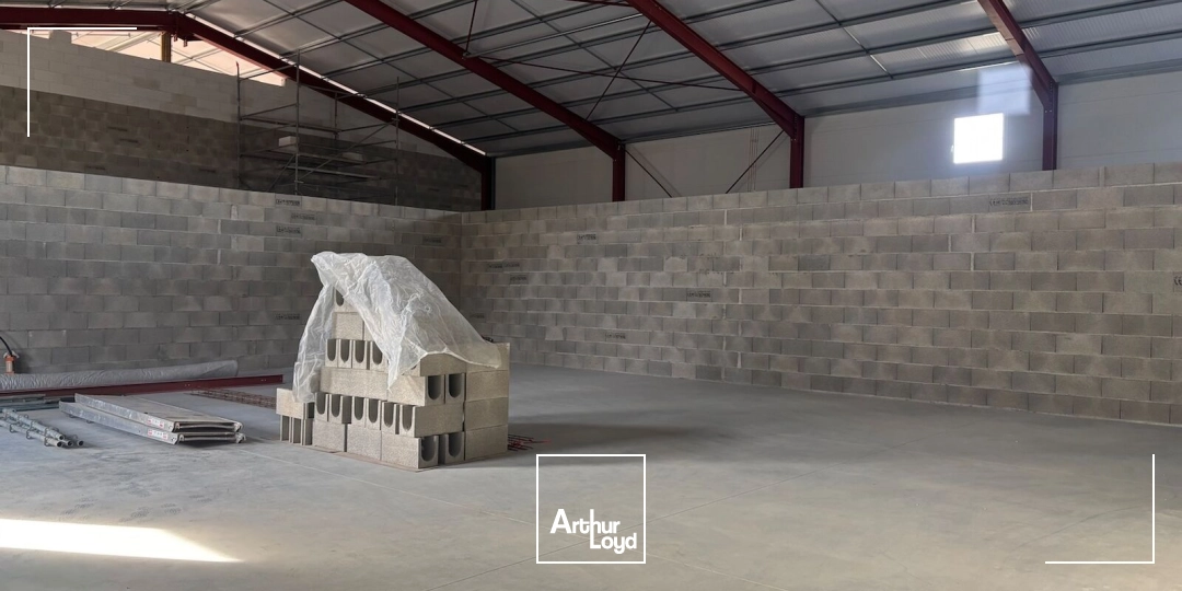 Locaux d'activité & Entrepôts - Vente - SAVIGNEUX - 42600 - 190-190 - 7913250