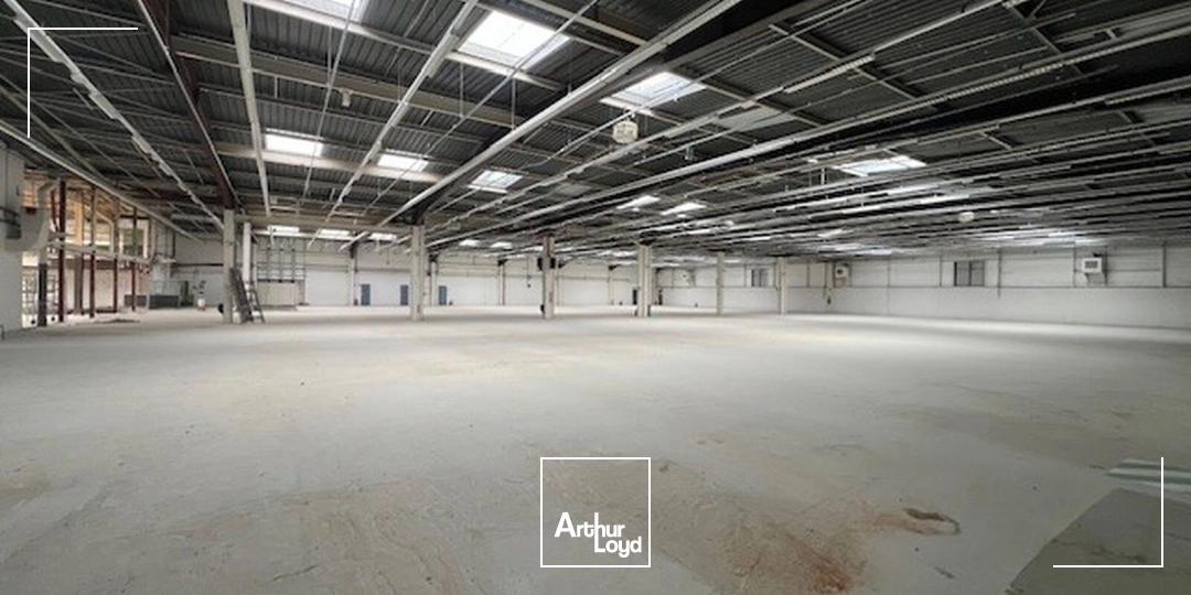Locaux d'activité & Entrepôts - Location - LES ULIS - 91940 - 1370-18729 - 7919076