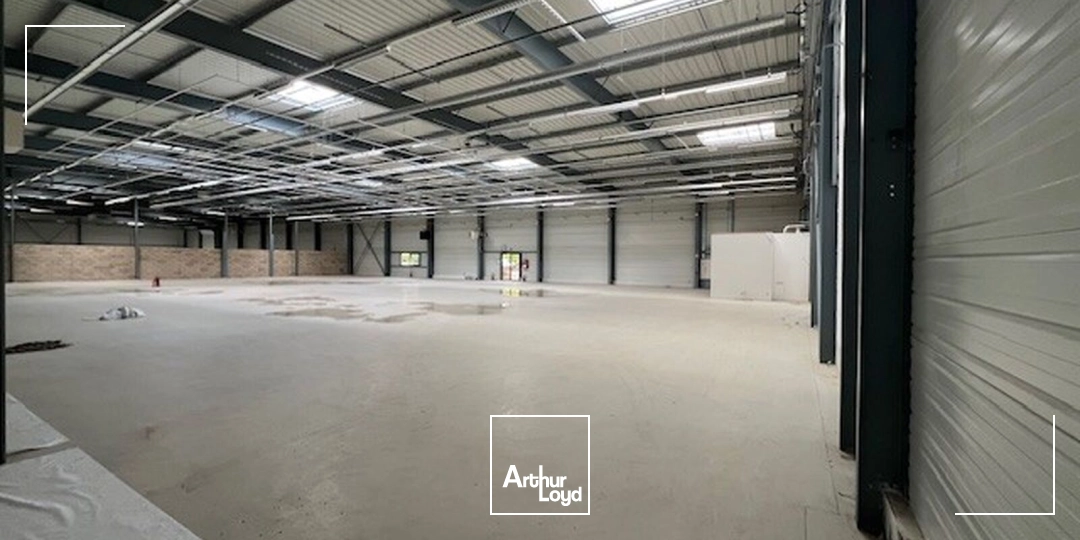 Locaux d'activité & Entrepôts - Location - LES ULIS - 91940 - 1370-18729 - 7919080