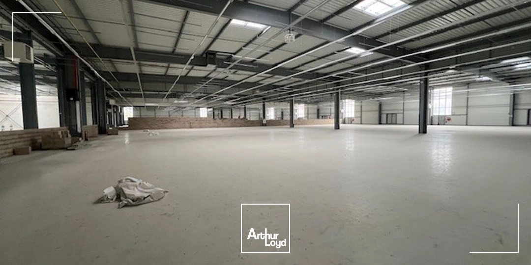 Locaux d'activité & Entrepôts - Location - LES ULIS - 91940 - 1370-18729 - 7919082
