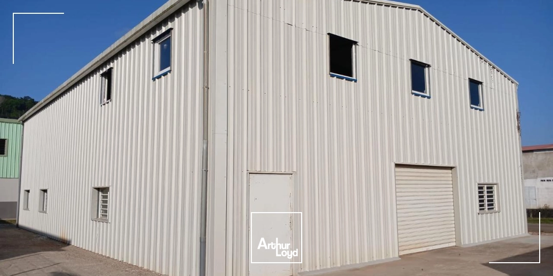 Locaux d'activité & Entrepôts - Location - Remire Montjoly - 97354 - 287-287 - 7922638