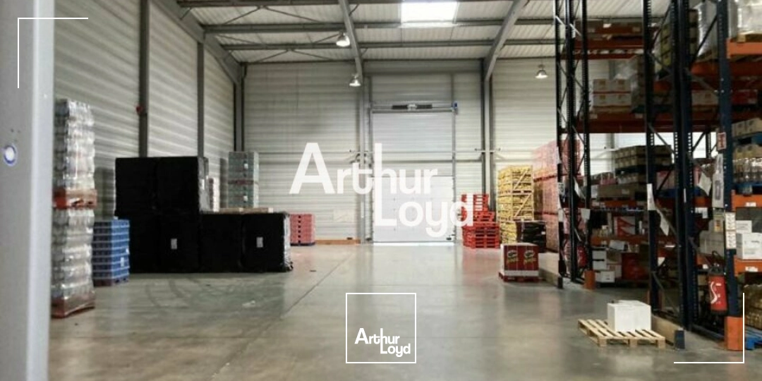 Locaux d'activité & Entrepôts - Location - SAINT RAPHAEL - 83700 - 5398.6-5398.6 - 7983334