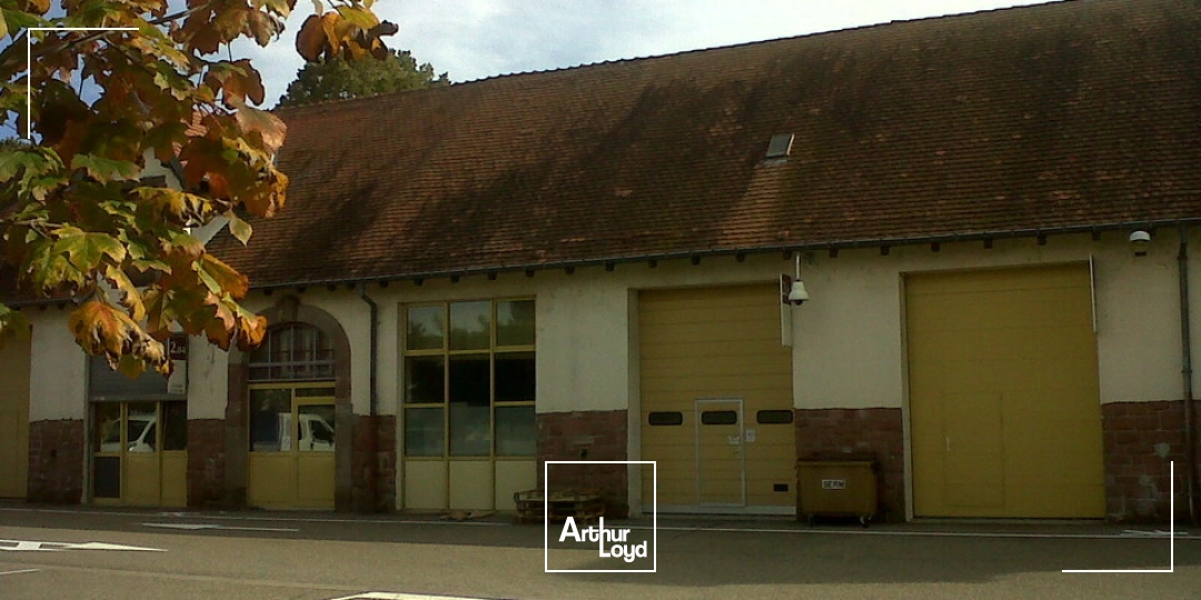 Locaux d'activité & Entrepôts - Location - MULHOUSE - 68100 - 120-420 - 7990021