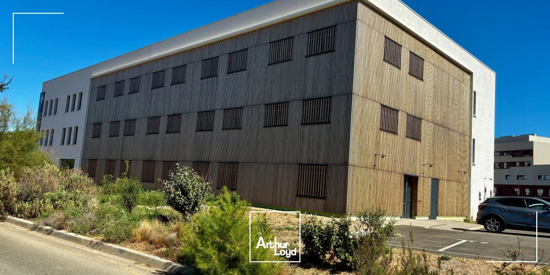 Bureaux - Vente - MONTREDON DES CORBIERES - 11100 - 43.64-1196.55 - 7992239