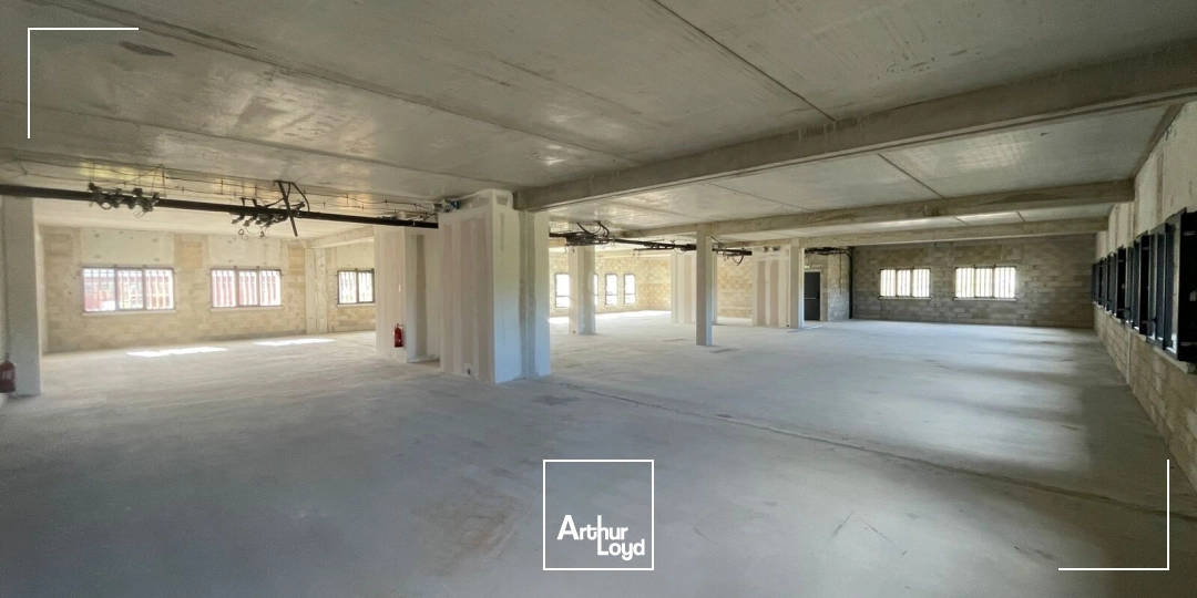 Bureaux - Vente - MONTREDON DES CORBIERES - 11100 - 43.64-1196.55 - 7992244
