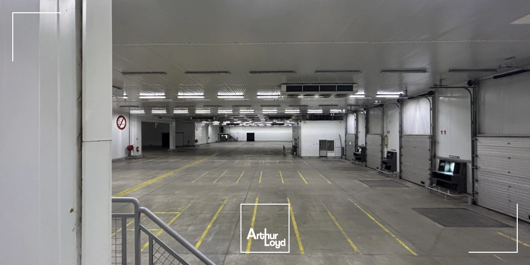 Locaux d'activité & Entrepôts - Location - PERPIGNAN - 66000 - 2600-2600 - 7992383