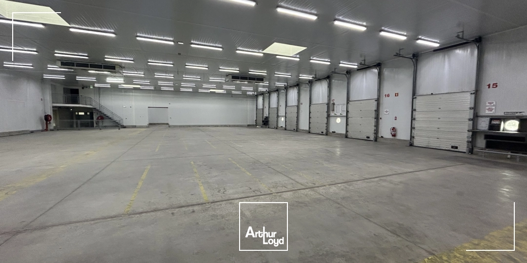 Locaux d'activité & Entrepôts - Location - PERPIGNAN - 66000 - 2600-2600 - 7992384