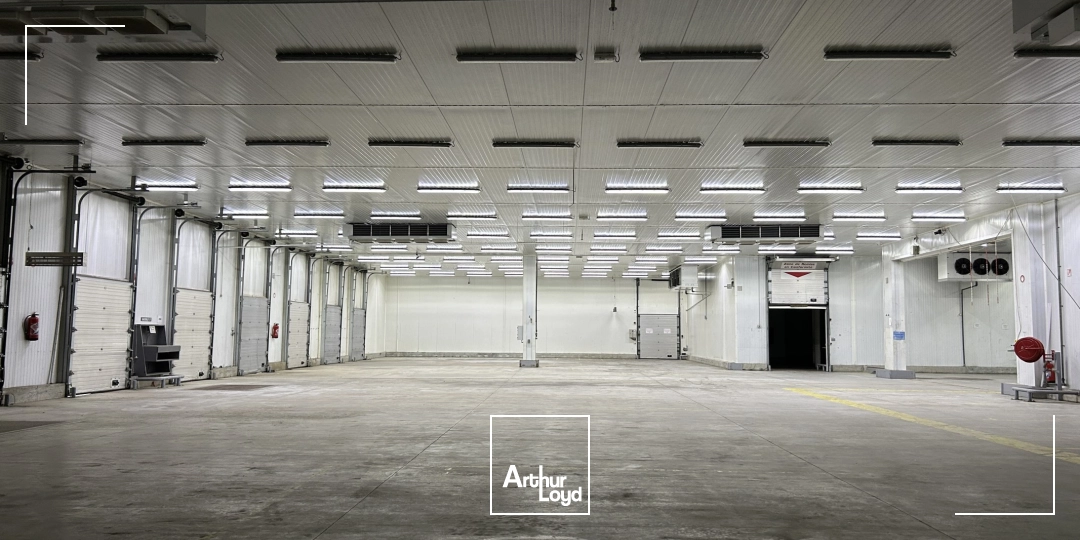 Locaux d'activité & Entrepôts - Location - PERPIGNAN - 66000 - 2600-2600 - 7992385