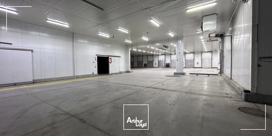 Locaux d'activité & Entrepôts - Location - PERPIGNAN - 66000 - 2600-2600 - 7992386