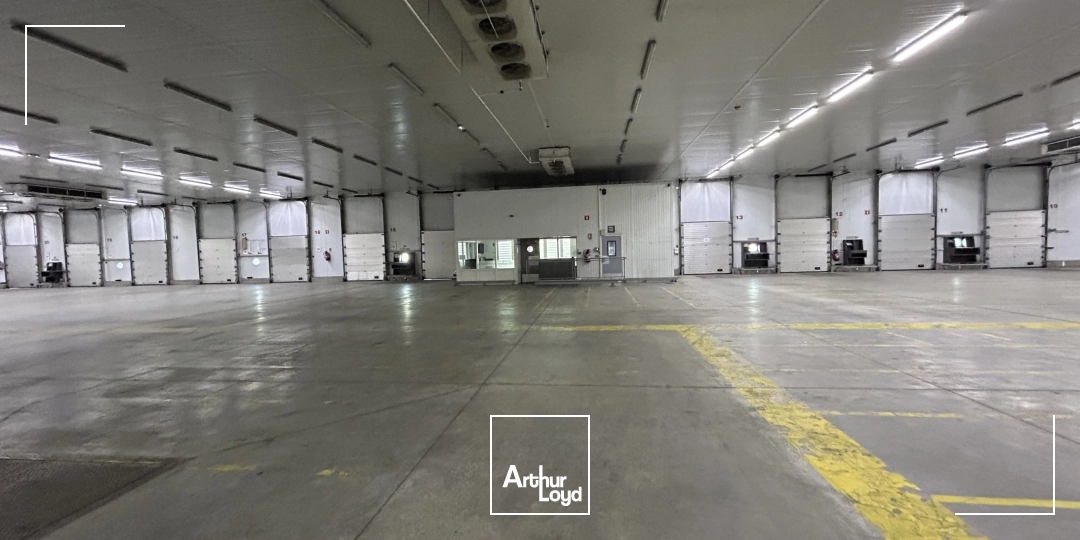 Locaux d'activité & Entrepôts - Location - PERPIGNAN - 66000 - 2600-2600 - 7992387