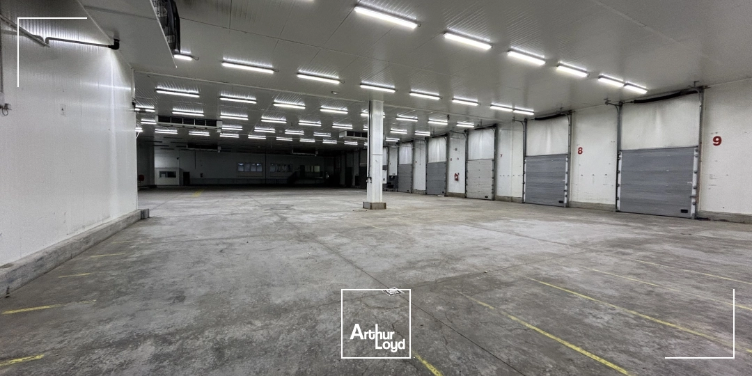Locaux d'activité & Entrepôts - Location - PERPIGNAN - 66000 - 2600-2600 - 7992388