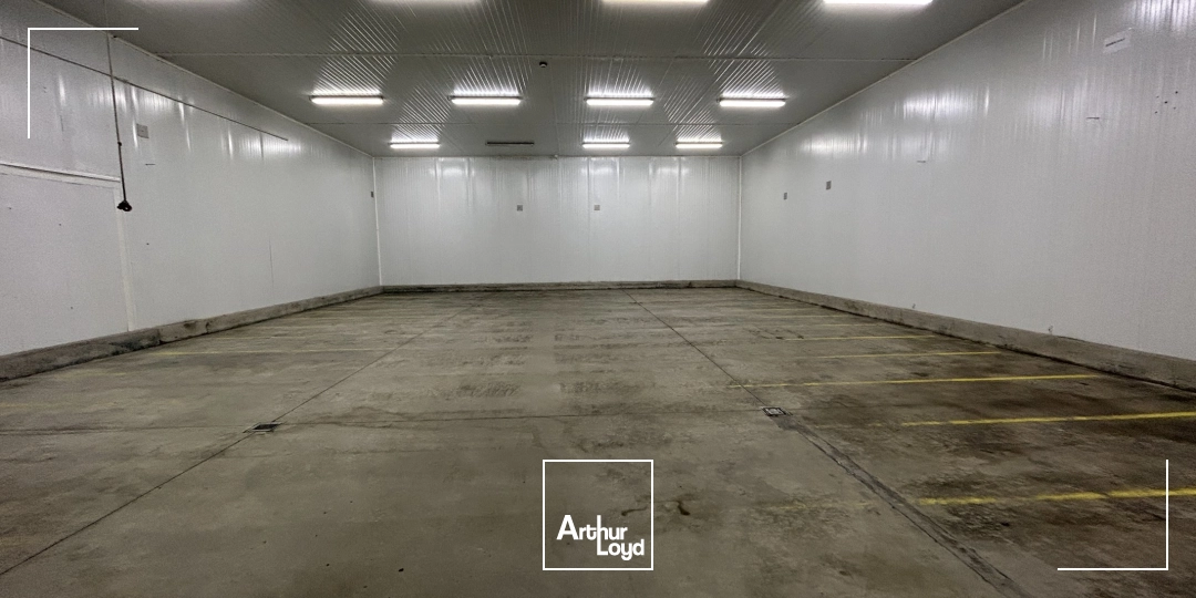 Locaux d'activité & Entrepôts - Location - PERPIGNAN - 66000 - 2600-2600 - 7992396