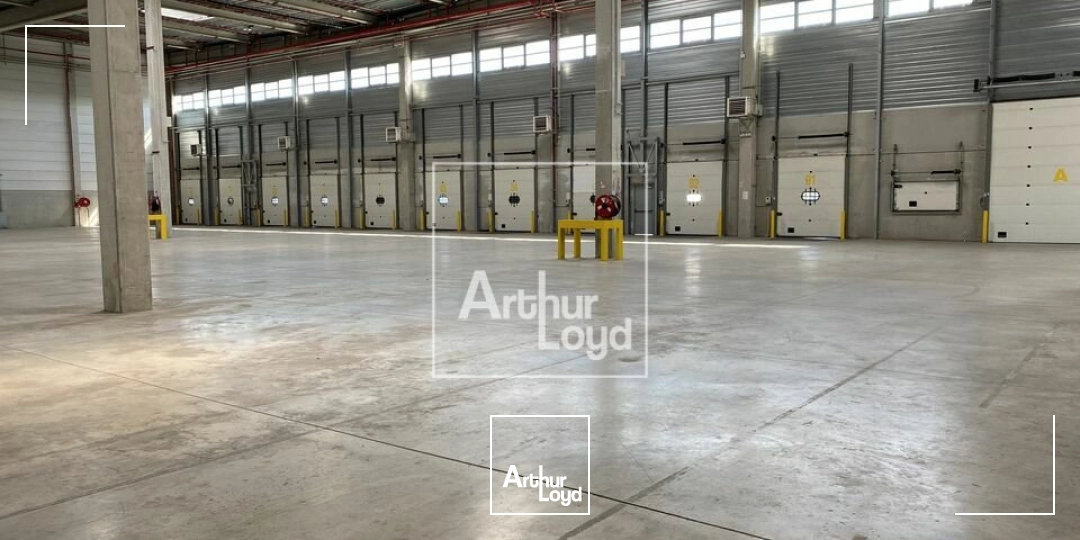 Locaux d'activité & Entrepôts - Location - MOISSY CRAMAYEL - 77550 - 6621-6621 - 8004883