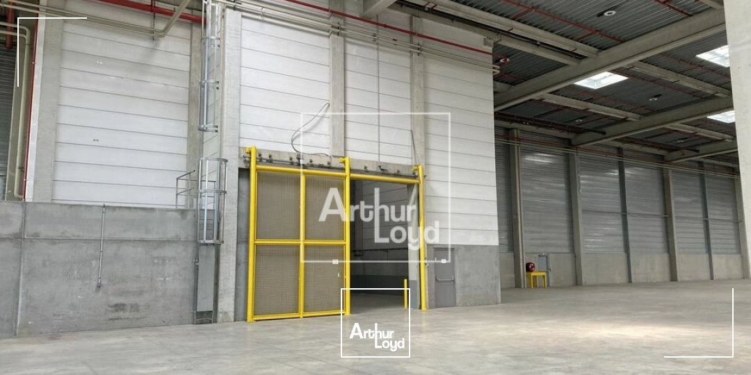 Locaux d'activité & Entrepôts - Location - MOISSY CRAMAYEL - 77550 - 6621-6621 - 8004885