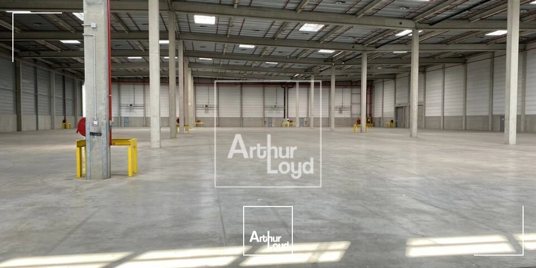 Locaux d'activité & Entrepôts - Location - MOISSY CRAMAYEL - 77550 - 6621-6621 - 8004886