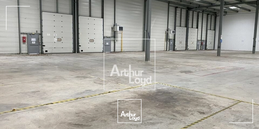 Locaux d'activité & Entrepôts - Location - MOISSY CRAMAYEL - 77550 - 3035-3035 - 8005064