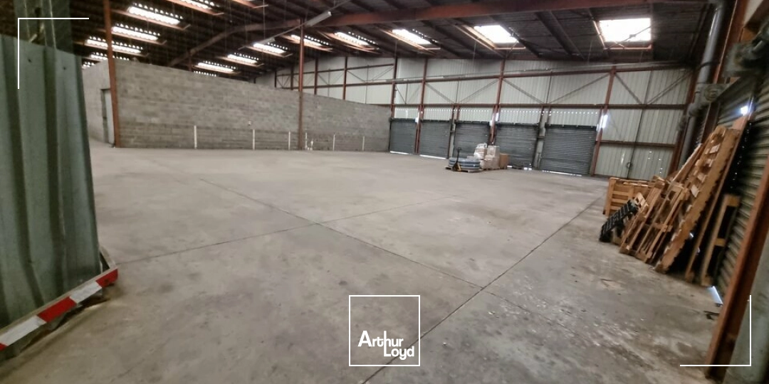 Locaux d'activité & Entrepôts - Location - POITIERS - 86000 - 1459-1459 - 8008246