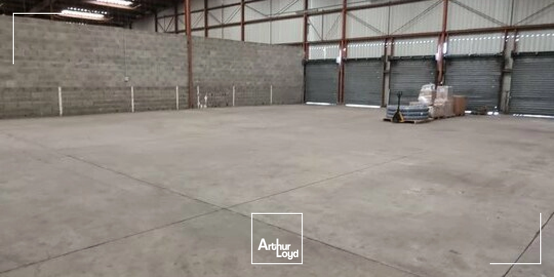 Locaux d'activité & Entrepôts - Location - POITIERS - 86000 - 1459-1459 - 8008248