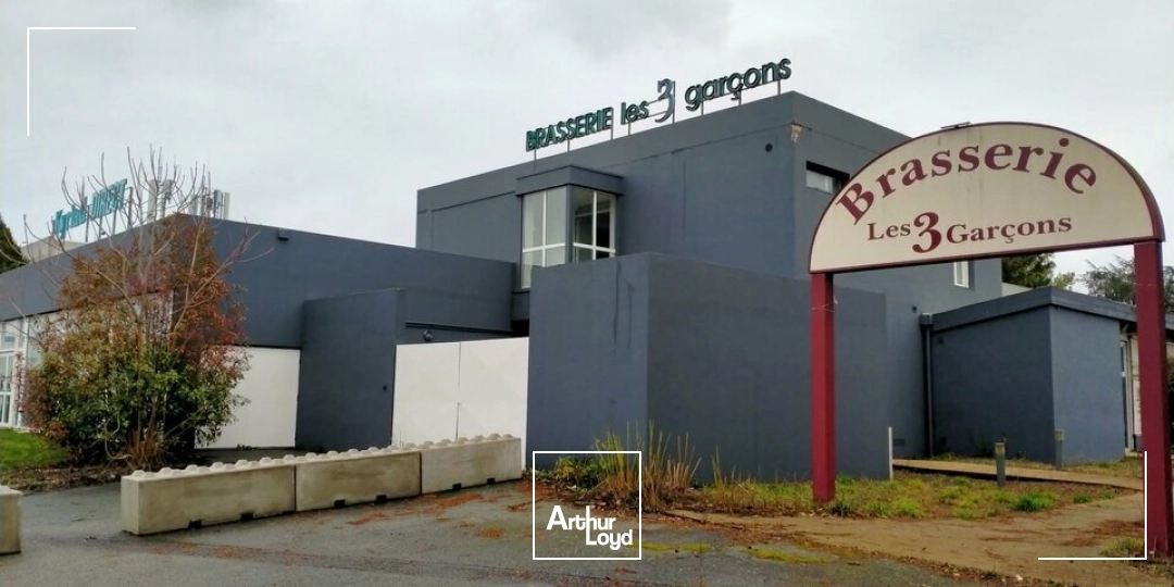 Locaux d'activité & Entrepôts - Vente - CHASSENEUIL DU POITOU - 86360 - 872-872 - 8008254