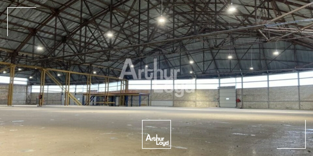 Locaux d'activité & Entrepôts - Location - COINGS - 36130 - 4500-4500 - 8011748
