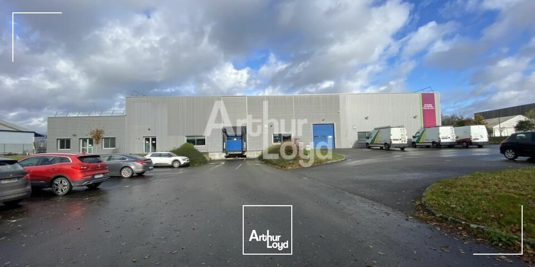 Locaux d'activité & Entrepôts - Vente - SAINT ETIENNE EN COGLES - 35460 - 1520-1520 - 8012961