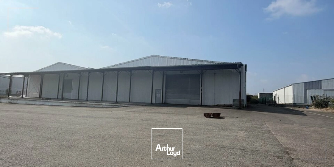 Locaux d'activité & Entrepôts - Vente - SAINT-DOULCHARD - 18230 - 3800-3800 - 8019206
