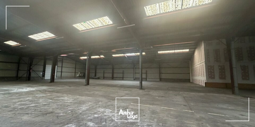 Locaux d'activité & Entrepôts - Vente - SAINT-DOULCHARD - 18230 - 3800-3800 - 8019216