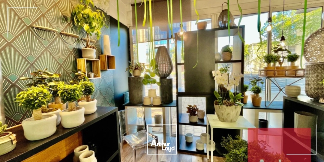 Fonds de commerce - Cession - MONTPELLIER - 34000 - 29-29 - 8033079