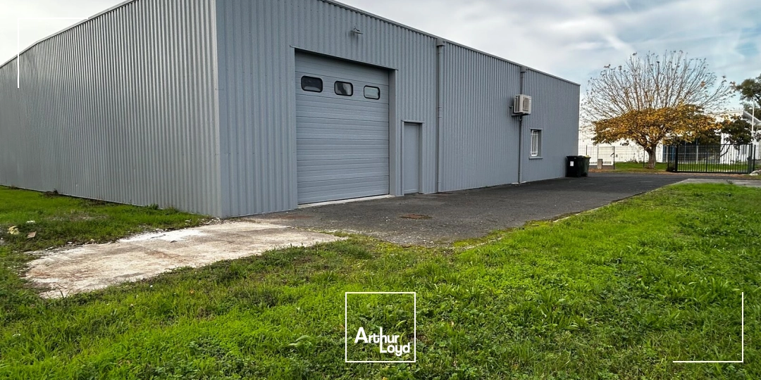 Locaux d'activité & Entrepôts - Location - BLANQUEFORT - 33290 - 240-240 - 8042632