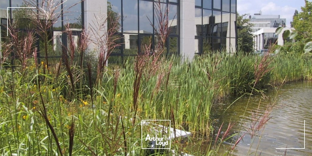 Bureaux - Location - GUYANCOURT - 78280 - 110-1368 - 8048039