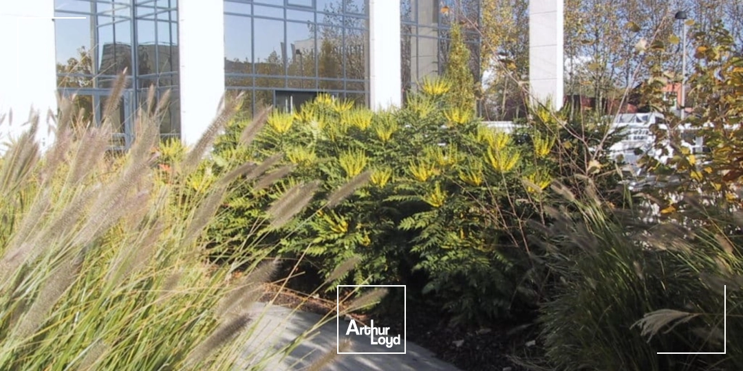 Bureaux - Location - GUYANCOURT - 78280 - 110-1368 - 8048040