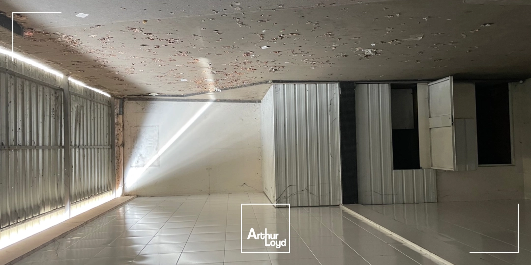 Locaux d'activité & Entrepôts - Vente - LE COTEAU - 42120 - 550-550 - 8065271