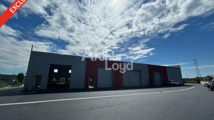 LOCAL D'ACTIVITES / DEPOT - ZA CUSSET - Offre immobilière - Arthur Loyd